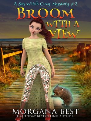 Broom with a View - ebook